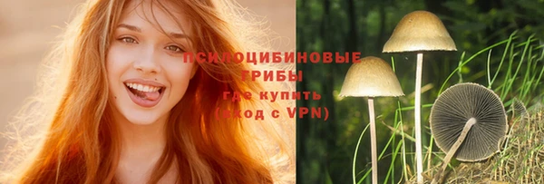 ПСИЛОЦИБИНОВЫЕ ГРИБЫ Михайловск
