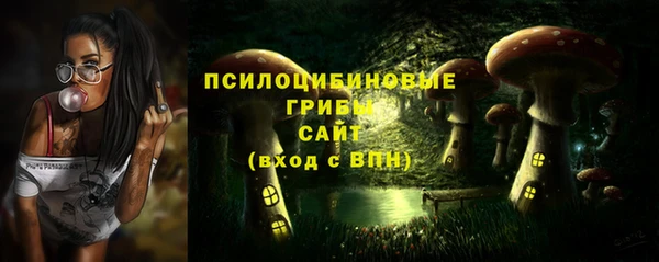 МДПВ Михайлов
