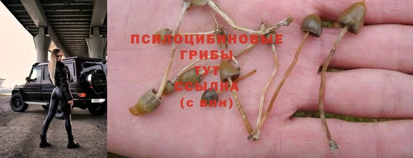 винт Михайловка
