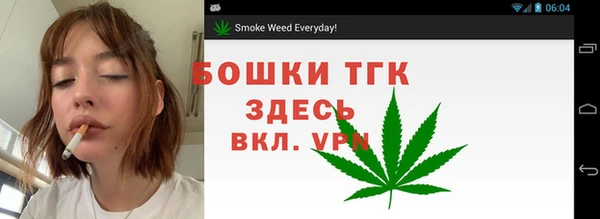 МДПВ Михайлов