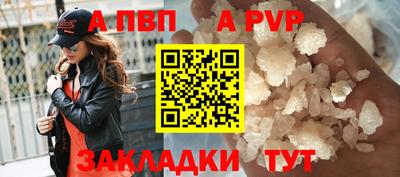 скорость Кингисепп