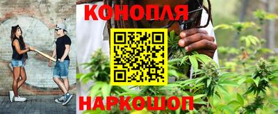 молекула духа Волжский