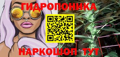 скорость Кингисепп