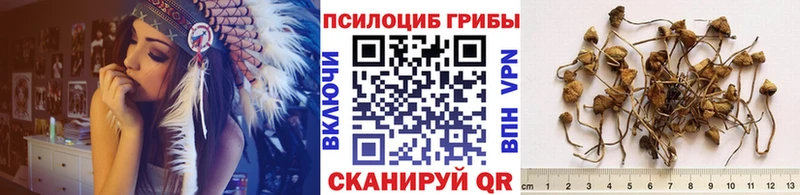 Галлюциногенные грибы Psilocybe  Крымск 