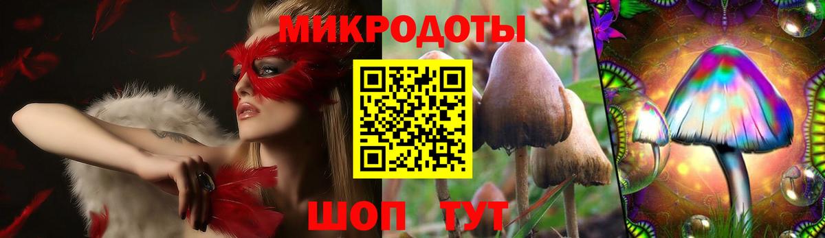 Псилоцибиновые грибы мицелий  Крымск 